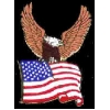 USA EAGLE OVER FLAG PIN